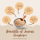 Homemade Jowar Millet Laddus with Jaggery, Desi Cow Ghee, Dry Fruits & Seeds-2